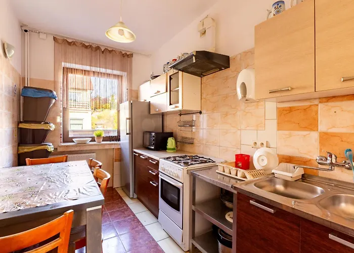 Plowce 62 Guest Spots By Bookinghost *