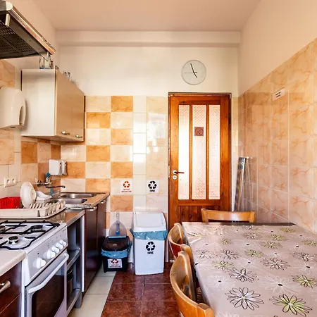 Plowce 62 Guest Spots By Bookinghost *